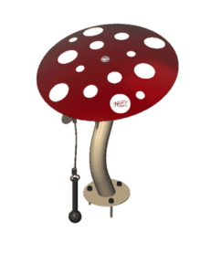 Mushroom-image