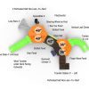 Playground Structure Model B311291R0