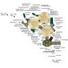 Playground Structure Model B505266R0