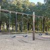 Tree Post Swing