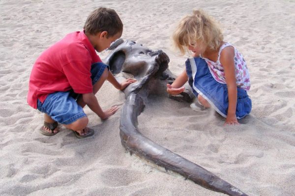 Mastodon Dig