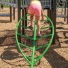 Palm Leaf Climber