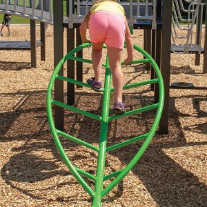 Palm Leaf Climber