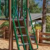 Senior Stepladder