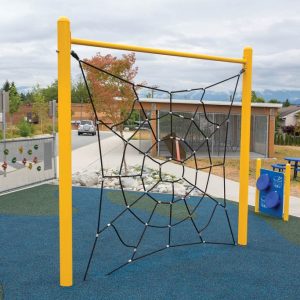 Spider Net