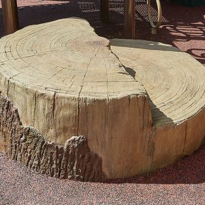 Stump Transfer