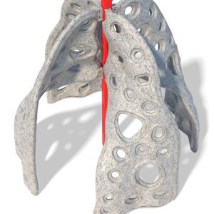 4 Way Lava Rock Climber