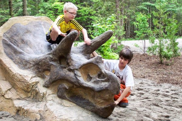 Triceratops Climber