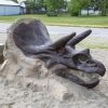Triceratops Climber