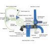Playground Structure Model B312450R0