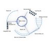 Playground Structure Model B312477R0