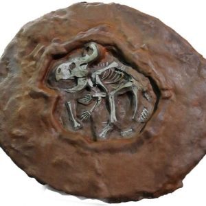 Protoceratops Dig