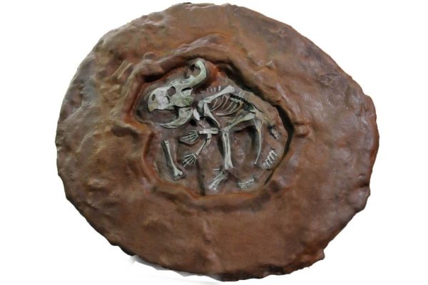 Protoceratops Dig